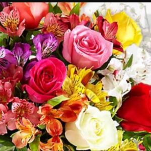 bouquet de fleurs colorées